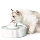 Cat Water Fountain: Cepheus Pet Drinking Fountain-2.1L/71Oz Cat Fountain-Automatic Water Fountain For Cats And Dogs With With Ultra-Quiet Pump(Purple)