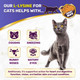 Chewy Max L Lysine For Cats & Kittens Helps With Watery Eyes Sneezing Cough Runny Nose Natural Cat Antibiotic Supplement With Taurine Vitamins For Eye Function & Immune Support Chicken Flavor 2 Oz