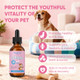 Civgicy Healthy Petz Collagen For Dogs Supports Joint Relief & Healthy Skin Coat Gut Health Premium Liquid Collagen Supplement 2 Fl.Oz