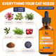 Clear Max Antibiotics For Cats In Drops At Respiratory Infection Treatment: Cold Cough And Allergies Cat Uti Treatment With Turkey Flavor May Support Hips & Joints Proper For All Ages & Breeds 2 Oz