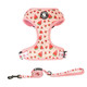 Coowone Adjustable Dog Harness And Leash Set For Girl Air Mesh Dog Vest Harness 5Ft Pet Training Leash With Soft Handle Pet Escape Proof For Small Medium Large Dogs (Dinosaur M)