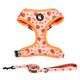 Coowone Dog Harness And Leash Set Adjustable Dog Harness Dog Leash No Pull No Choke Puppy Harnesses For Walking Training For Small Medium Large Pet