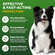 Corepup Antibiotics For DogsNatural Antibiotics For DogsPet AntibioticSupplement For Urinary Tract Support Digestion & Skin HealthDog Allergy And ItchNatural Herbal Supplement