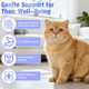 Crobirware Cat Probiotics For Digestive Support - 60Ml Probiotic For Cats With Digestive Enzymes & Prebiotics Supports Gut Health Immune System