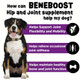 Dinovite Beneboost Hip & Joint Liquid Topper For Dogs Dog Joint Supplement With Glucosamine Chondroitin Msm & Hyaluronic Acid Dog Mobility Support Bacon Flavor 6 Fl Oz