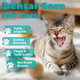 Diytoolsman Cat Dental Care Bad Breath Stomatitis & Gingivitis Treatment For Cats Cat Gum Disease Treatment Cats Oral Health For Teeth Gums Mouth And Tartar 400 Tiny Tablets