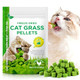 Dnxihitw Cat Grass Treats 120G Cat Grass Pellets Cubes For Indoor Cats Relief Hairball Support Dental Health Normal Digestion Skin And Coat Health Natural Snacks With High Fiber Formula