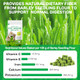 Dnxihitw Cat Grass Treats 120G Cat Grass Pellets Cubes For Indoor Cats Relief Hairball Support Dental Health Normal Digestion Skin And Coat Health Natural Snacks With High Fiber Formula