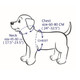 Dogs Kingdom 26"-34" Soft Leather Dog Harness Large For Pit Bull Boxer Bull Terrier Black