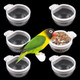 Dqitj 6 Pack Detachable Transparent Bowl Plastic Food Cup Convenient Hanging Seed Water Feeder For Parrot Canary Finch Small Size Bird