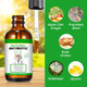 Fangcun Natural Antibiotic Liquid Drops For Cats - Supports Immune System Allergy & Uti Relief With Fast Absorption & Digestive Aid - Chicken Flavor For All Ages & Breeds 2 Fl Oz (60Ml)
