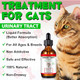 Fanshi Cat Uti Supplement Feline Urinary Tract Health Support Drops With Cranberry & Natural Herbs Promotes Bladder & Kidney Function Chicken Flavor 2 Fl Oz