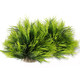 Fdclixuvol 2Pcs Aquarium Plants Decorations Artificial Fish Tank Plants Plastic Fish Tank Accessories Green Natural Style Aquarium Plants