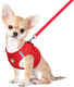 Feimax Dog Harness And Leash Set No Pull Breathable Soft Mesh Puppy Vest Harness Reflective Adjustable Pet Harnesses For Small Medium Dogs And Cats - Outdoor Easy Control For Walking