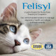 Felisyl L-Lysine Gel For Cats & Kittens (5Oz) Immune System Respiratory & Eye Health Support. Reduces Sneezing Runny Nose & Watery Eyes. Daily Salmon-Flavor Supplement Made In Usa