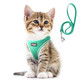 Fida Comfy Dog Harness With Leash Soft Puppy Vest Escape Proof Breathable Lightweight Soft Mesh Adjustable Reflective Step-In Harness For Small Dogs Walking (S Pink)