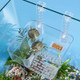 Forher Suction Cup Suspended Turtle Platform With Adjustable Guardrail And Tilted Acrylic Transparent Cradle Platform Suitable For Decorating Water Tank Accessories (Suspended)