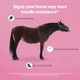 Formula 707 Metastable Pellets For Horses 5 Lb Bag 40 Servings University-Studied Support For Horses With Laminitis Insulin Resistance & Metabolic Disorders