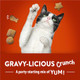 Friskies Purinaparty Mix Gravy-Licious Crunch Chicken And Gravy Flavors Cat Treats - 30 Oz Canister