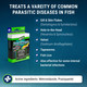 Fritz Aquatics ParaCleanse Provides Fast Relief from Parasitic Diseases (20-Count)