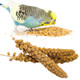 Ganmhoill Bird Seed Parakeet Food - 200 Gram Vacuum Sealed Millet Treat For Birds Parakeets Natural Sun-Dried Birds Millet For Cockatiel Budgie Finches Parrots