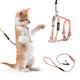 Giantree Cat Harness With Leash And Collar Set Adjustable H-Shaped Kitten Harness Escape Proof Harness Glow In The Dark For Kitty Outdoor Walking (Orange)