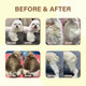 Gjyc Pet Pet Fur Care Oil - Detangles Reduces Shedding - Adds Shine With Collagen & Natural Oils - Leave-In Conditioner For Dogs & Cats - 1.01 Fl. Oz