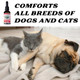 Pet Hemp Oil Catnip Oil Dogs And Catsl Aids With Anxiety Stress Pain Hip Joint And Muscle Support For Young To Senior Pets 120Mg Organic Hemp 100% Natural Green Planet Hemp