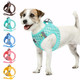 Gyuzh Dog Harness And Leash SetSoft Mesh Breathable Small Dog HarnessReflective Adjustable Puppy HarnessNo Pull Pet Harness For Small Dogs And Cats