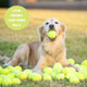Handmade Recycled Tennis Balls For Dogs: Classroom Chairs Bulk Tennis Balls For Dogs To Fetch Real Recycled Durable Tennis Balls: Choose Your Quantity (100 Balls)