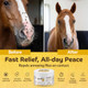 Happy Jack Onex Fly Repellent Ointment For Dogs & Horses Targeted Wound Dressing That Repels & Kills Flies On Contact Helps Protect Open Sores Usa 4 Oz Jar