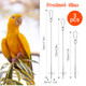 Hjzhii 3Pcs Bird Cage Food Holder 3 Sizes Stainless Steel Parrot Fruit Stick Feeder Fruit Vegetable Treats Skewer Bird Cage Feeder Foraging Toy For Parakeet Budgie Macaw