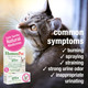 Homeopet Feline Uti+ Safe And Natural Urinary Tract Supplement For Cats Feline Urinary Tract Support 15 Milliliters