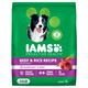 Iams Proactive Health Minichunks Premium Dry Dog Food Adult Dog Food Dry Recipe 15 Lb. Bag