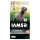 Iams Advanced Health Skin & Coat Dry Dog Food Adult Dog Food Dry Chicken And Salmon Recipe 27 Lb. Bag