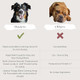 K2Xlabs Busters Calming Hemp Oil Enriched With Melatonin For Dogs Cats Pets Sleep Wel Being And An Ideal Omega Ratio Adrenal And Cushings Support