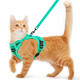 Kaazylab Cat Harness And Leash For Walking Escape Proof Soft Adjustable Cat Leash Breathable Comfortable Vest Easy To Wear Kitten Harness For Outdoor Travel Black S