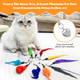 Kerros 10Pcs Cat Worm Toy Cat Wand Attachment Fuzzy Worm Toys Refill With 1Pcs Black String For Wand Replacement Interactive Cats Kittens Toys For Indoor