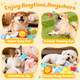 Kipritii Whimsical Squeaky Dog Toys For Small Dogs & Puppies Plush Toys Pack With Storage Bag 9 Pcs Stuffed Puppy Chew Toys With Squeakers To Relieve Boredom