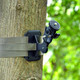 Trail Cameras Holder