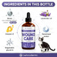 Leacademic Cat Wound Care In Drops Wound Care + Lavender Lavender & Vitamin E Drops Natural Ingredients All Ages And Breeds 2 Oz