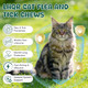 Lhqr Flea And Tick Prevention For Cats Chewable Natural Oral Flea And Tick Treatment Supplement Cat Flea Chews Support Skin & Digestive Supplement For Puppies & All Breeds 500 Pcs Chicken