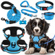 Lobeve No Pull Dog Harness Collar & Leash Set Includes Dog Seat Belt Collapsible Bowls & Poop Bag Dispenser. Ideal For Training Walking Hiking. Fits Small To Large Dogs(Blue-S)