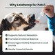 Lolahemp Calming Hemp Oil For Dogs With L-Theanine And Chamomile - Vet Formulated Natural Calming Dog Support - For Nerves Loud Noises Thunder Fireworks - Promotes Relaxation - Usa Made