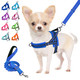 Lukovee No Pull Dog Harness And Leash Set Soft Padded Small Dog Harness Neck & Chest Adjustable Reflective Vest Puppy Harness With 4Ft Lightweight Anti-Twist Dog Leash For Small Dogs (Xxs Purple)