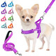 Lukovee No Pull Dog Harness And Leash Set Soft Padded Small Dog Harness Neck & Chest Adjustable Reflective Vest Puppy Harness With 4Ft Lightweight Anti-Twist Dog Leash For Small Dogs (Xxs Purple)