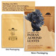 Matchimaa Premium Indian Almond Leave. Aquarium Decorations Size 6-9" Pack 50G(20-25 Leaves). Catappa Leaves Rich In Tannin. Superb To Be Health Better Vitality Succesful Breeding Of Shrimp & Betta Fish Tank