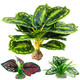 Moonorange Reptile Artificial Plants Terrarium Plants Decorations Supplies Aquarium Fish Tank Plant Amphibian Habitat Hideout Tank Accessories(L Set-3Pcs/C)