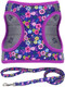 Moonpet Step In Valentine'S Day Dog Harness Leash Set- All Weather Reflective No-Pull Floral Pattern Padded Mesh Vest Harness For Cats Puppy Extra-Small Small Medium Large Dogs - Heart Rose - Xxs