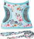 Moonpet Step In Valentine'S Day Dog Harness Leash Set- All Weather Reflective No-Pull Floral Pattern Padded Mesh Vest Harness For Cats Puppy Extra-Small Small Medium Large Dogs - Heart Rose - Xxs